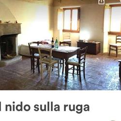 Il nido sulla Ruga