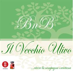 B&B il vecchio ulivo