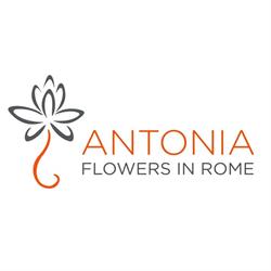 Antonia Flowers Roma