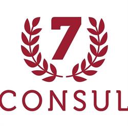Consul 7 srl