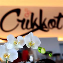 Crikkot