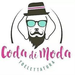 Coda di Moda