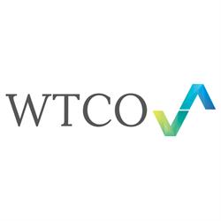 WTCO Leandiscovery Holding