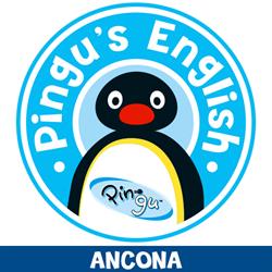 Pingu's English Ancona