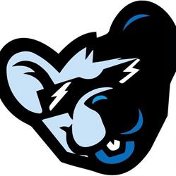 Blumouse Computer