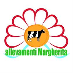 Allevamenti Margherita