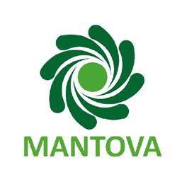 CSV Mantova