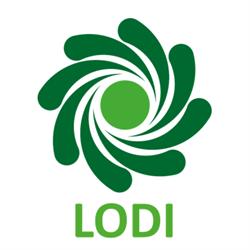 CSV Lodi