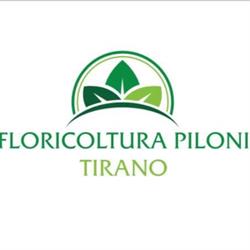 Floricoltura Piloni