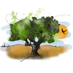B&B Benvenuti Nel Sud