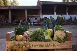 Cascina Martor