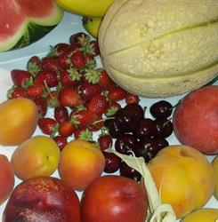 Frutteria monnati luca