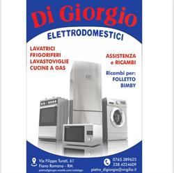 Di giorgio elettrodomestici