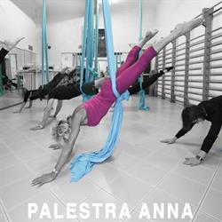 Palestra ANNA
