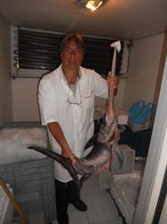 La pescheria di mauro