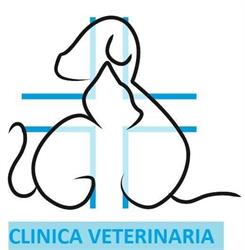 Clinica Veterinaria Quinto
