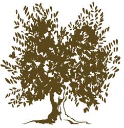 Azienda Agricola Il Brolo