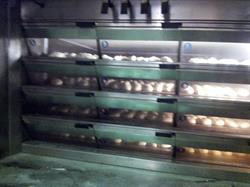 Panificio Preneste Di Paolucci Marco