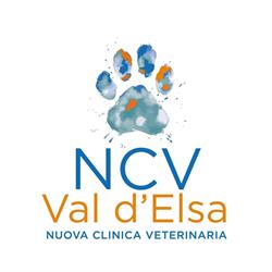 Nuova Clinica Veterinaria Val d'Elsa