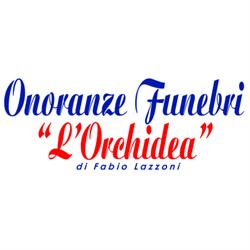 L'Orchidea
