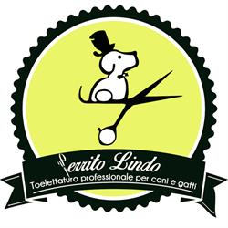 Toelettatura Perrito lindo