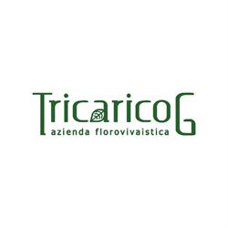 TricaricoG