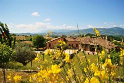 Agriturismo L' Antico Oliveto