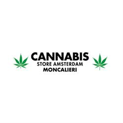Cannabis store Amsterdam Moncalieri