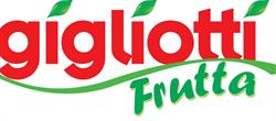 Gigliotti Frutta SRL