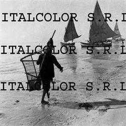 Italcolor s.r.l.