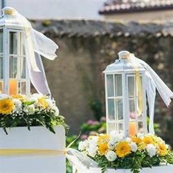 Dolci Petali