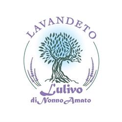 Nuovo Ulivo di Nonno Amato