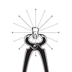 Vecchia Tenaglia Tattoo Studio