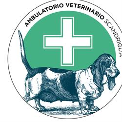 Ambulatorio Veterinario Scandriglia