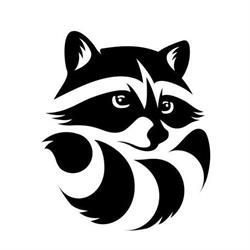 RACOON STUDIO