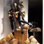 Gallery Professionale