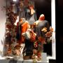 Gallery Professionale