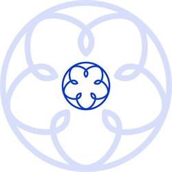 Soluzioni Assicurative sas