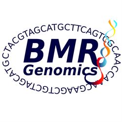 BMR Genomics