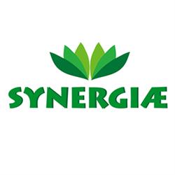 SYNERGIAE