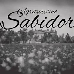 Sabidor