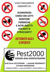 Pest2000