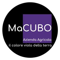 MaCUBO