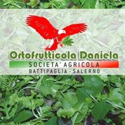 Ortofrutticola Daniela srl