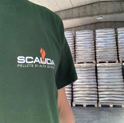 Scauda