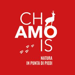 Love Chamois