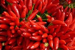 Peperoncino