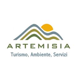 Artemisia