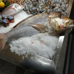 La Gallinella Srl - Pescheria