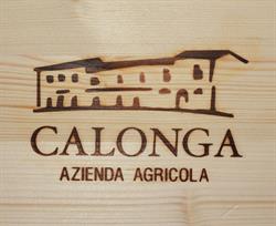 Calonga